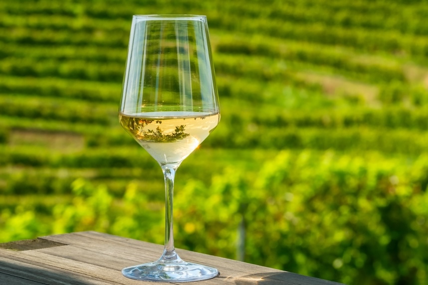 Ein kompletter Leitfaden zum Sauvignon: Eigenschaften und Kombinationen